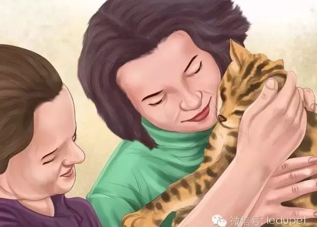 猫瘟证状_猫瘟猫咪什么症状_猫瘟症状