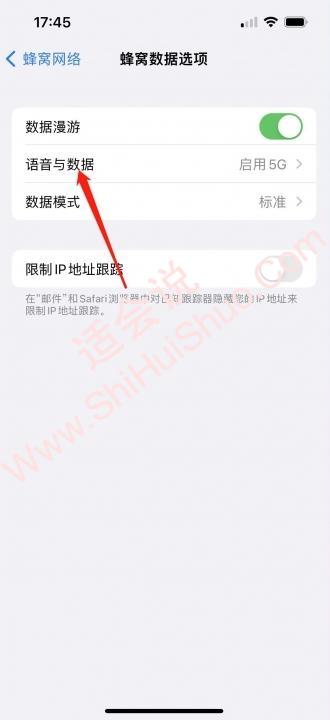 iphone14怎么关闭5g-图3