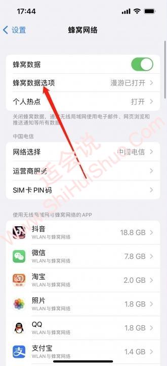 iphone14怎么关闭5g-图2