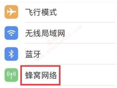 iphone12没有关闭5g的选项-图2