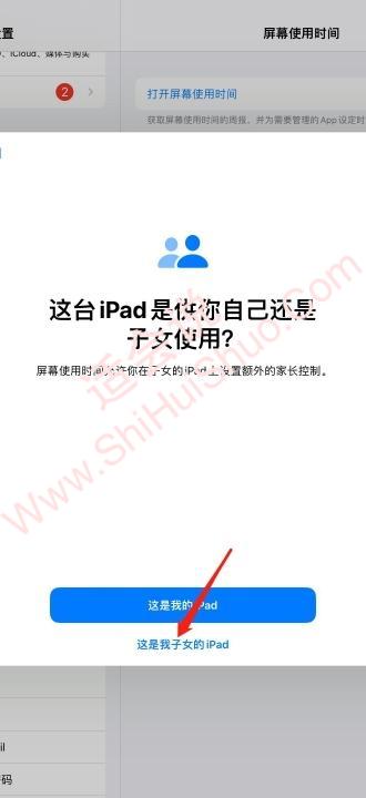 ipad设置青少年模式-图3