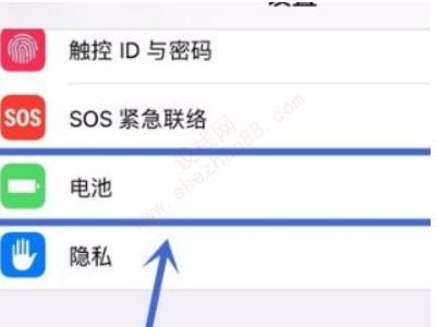 苹果发热降频能关闭吗-图2