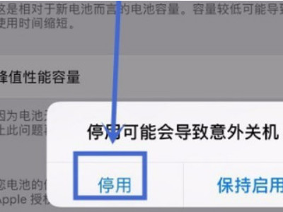 苹果发热降频能关闭吗-图5