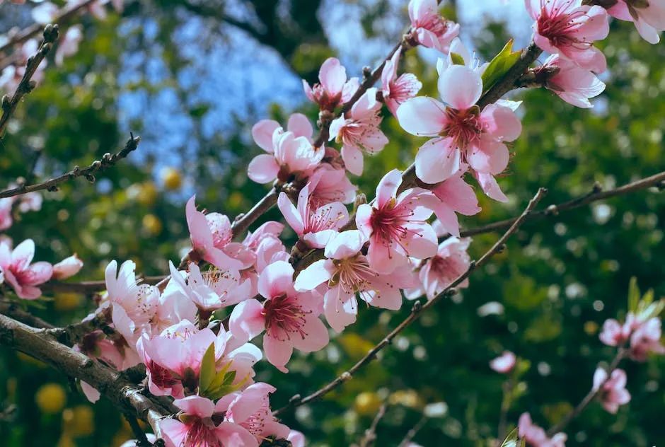 吉祥如意_如意吉祥庆丰年猜一生肖_如意吉祥图片