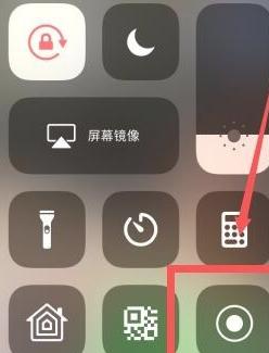苹果手机有录屏功能吗-图5