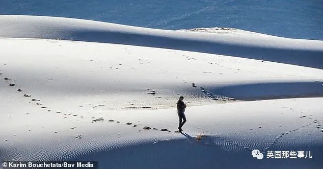 沙漠撒哈拉沙漠在哪_撒哈拉沙漠_沙漠撒哈拉沙漠面积有多大