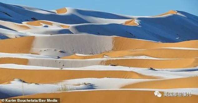 撒哈拉沙漠_沙漠撒哈拉沙漠面积有多大_沙漠撒哈拉沙漠在哪