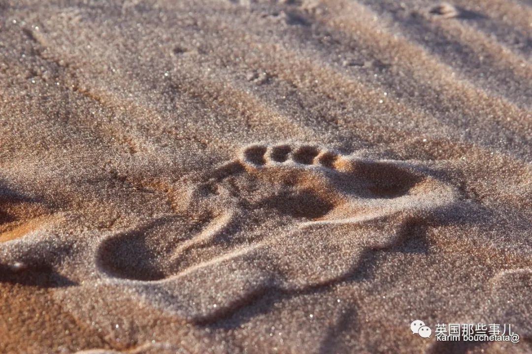 沙漠撒哈拉沙漠面积有多大_沙漠撒哈拉沙漠在哪_撒哈拉沙漠