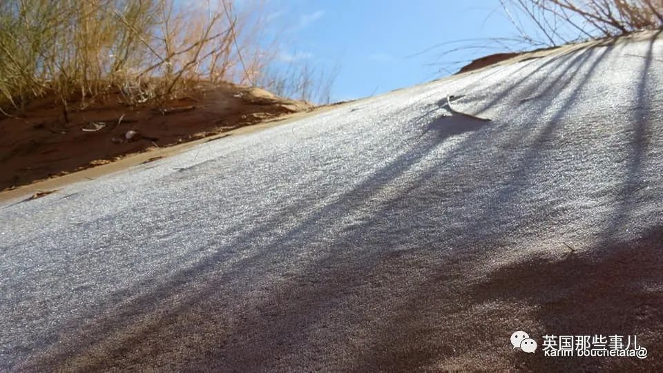 撒哈拉沙漠_沙漠撒哈拉沙漠在哪_沙漠撒哈拉沙漠面积有多大