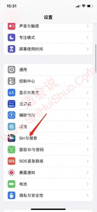 iphone如何关闭语音控制-图1