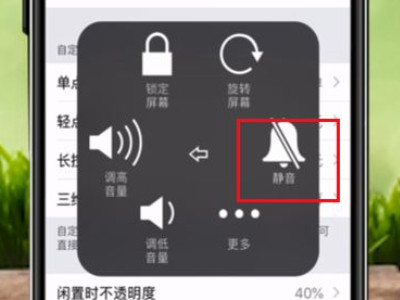 苹果手机静音键坏了怎么调静音-图7