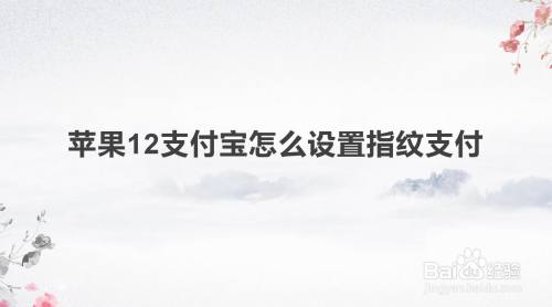 苹果12有指纹支付功能吗-图1