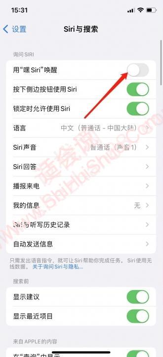 iphone如何关闭语音控制-图2