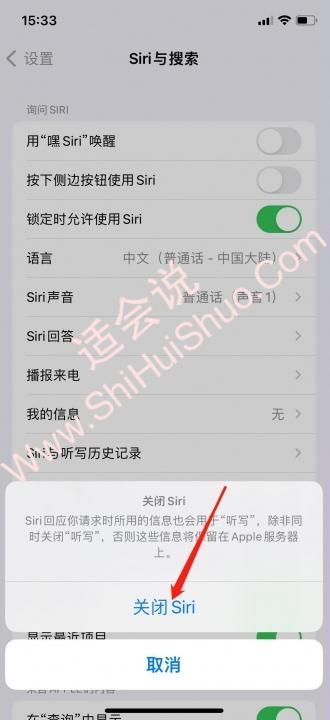 iphone如何关闭语音控制-图3