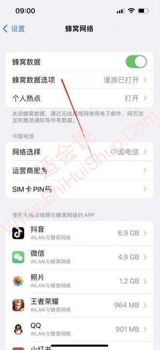 iphone怎么能让E变回4G-图2