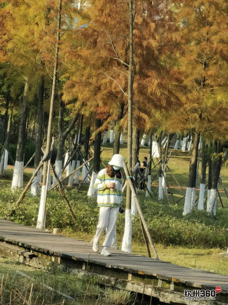 钦州天气预报_天气预报钦州港_天气预报钦州市钦南区