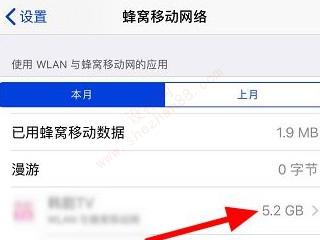 苹果手机怎么查流量使用明细-图4