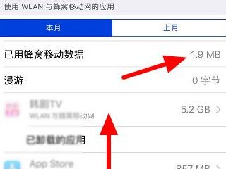 苹果手机怎么查流量使用明细-图3