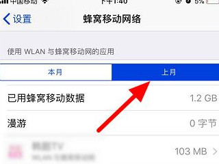 苹果手机怎么查流量使用明细-图5