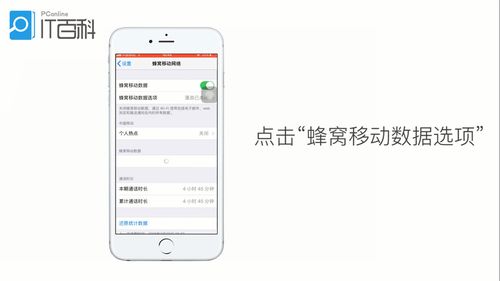 苹果手机用不了蜂窝数据怎么回事-图1