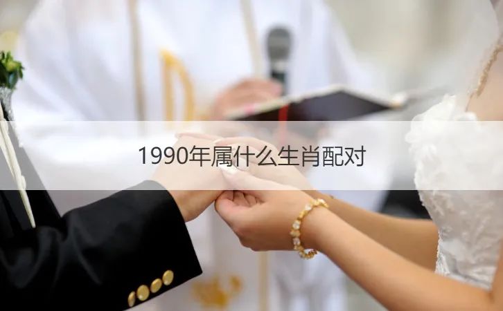 生肖属年表_2023是什么生肖属年_90年属什么生肖