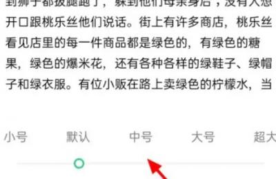 oppoa2怎么把字体调大 oppoa2设置字体大小，简单易懂！-图3