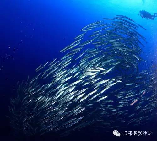 西沙群岛怎么去_西沙群岛怎去_西沙群岛路线