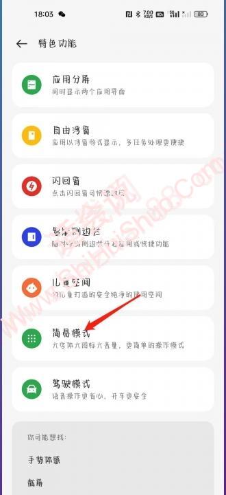 oppo手机简易模式怎么设置-图5