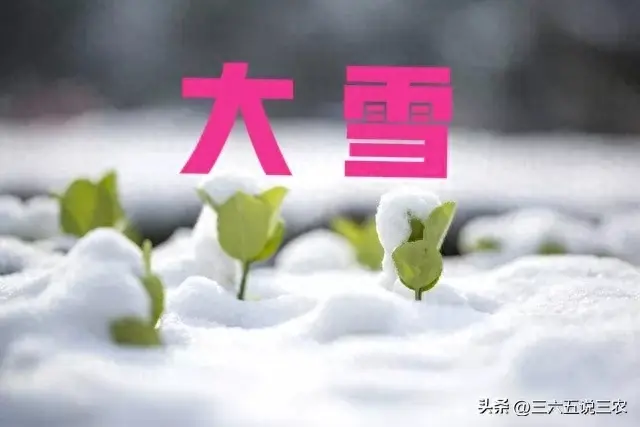 明天节日是什么的日历_明天什么节日_搜一下明天的节日