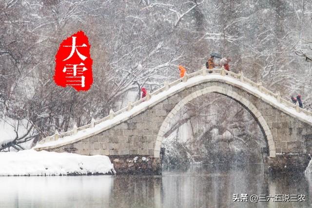 明天节日是什么的日历_搜一下明天的节日_明天什么节日