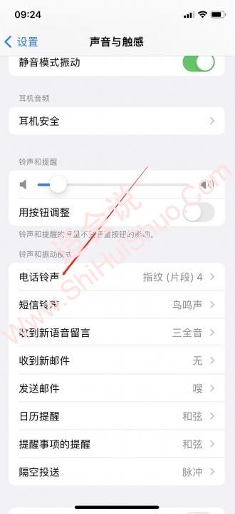 iphone来电铃声怎么设置-图11