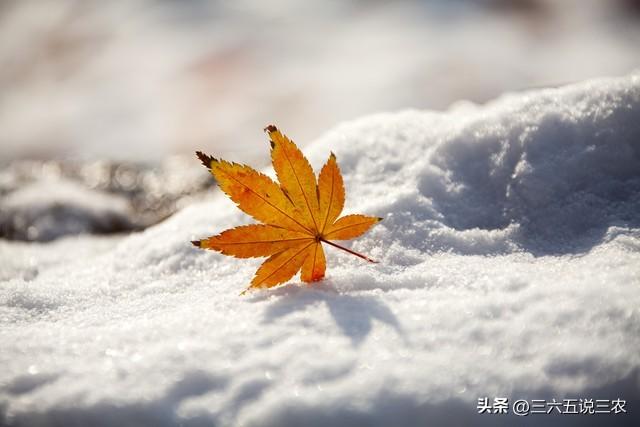 明天节日是什么的日历_明天什么节日_搜一下明天的节日