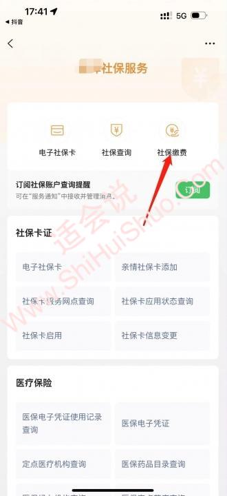 在手机上怎么交医疗保险-图12