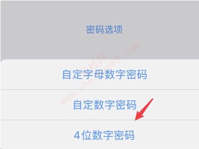 iphone12无法设置四位密码-图7