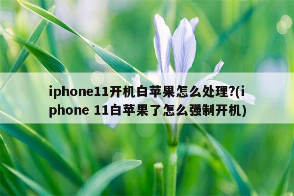 苹果11白苹果开不了机怎么办-图1