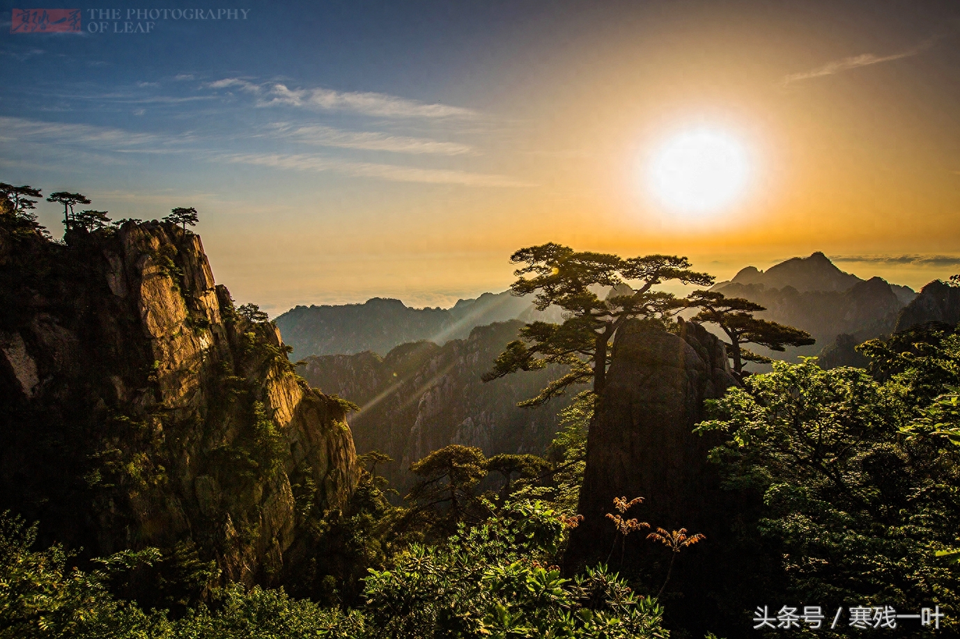 黄山景区门票终于降价了，从230元降到99元，网友却这么说