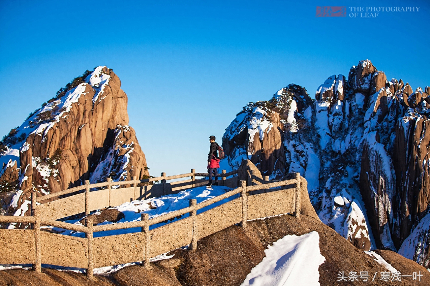 黄山景区门票终于降价了，从230元降到99元，网友却这么说