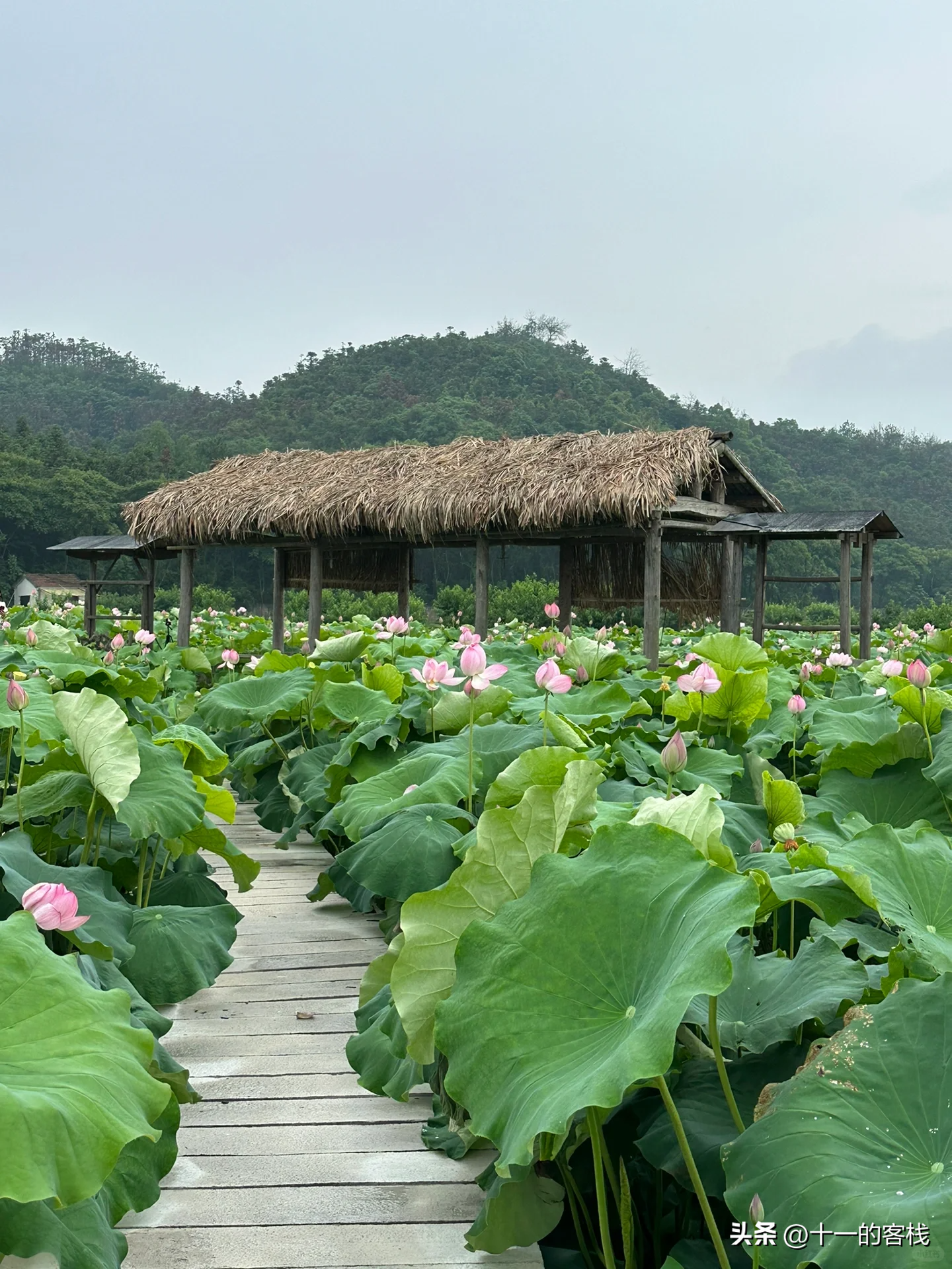 长沙旅游景点_长沙有什么好玩的旅游景点_长沙的旅游景区