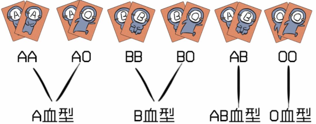 o型血生出ab型血_ab型和o型生的孩子是什么血型_o型血生的出来ab型吗