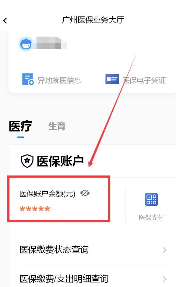 余额医保查查询卡怎么查_医保卡余额查询怎么查_医保卡里余额查询