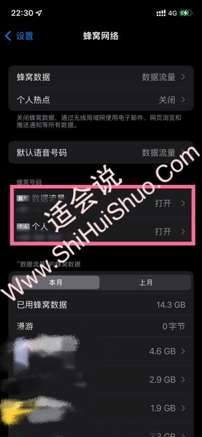 iPhone13在哪关闭5G网络-图2