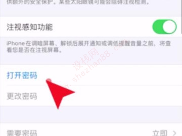 苹果屏幕密码在哪里设置方法-图3