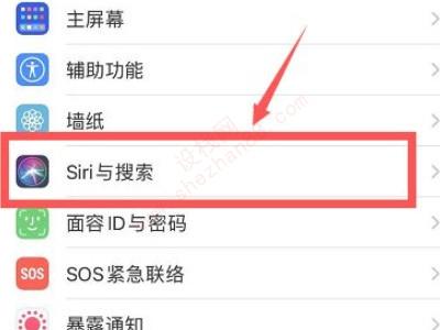 苹果xr叫siri为什么没声音-图2