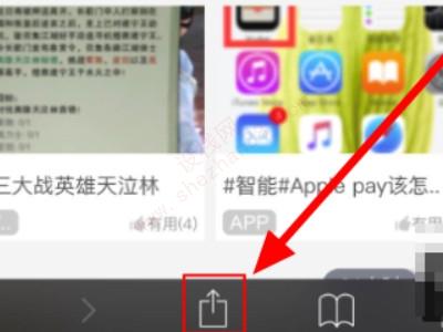 ios14浏览器怎么切换电脑版-图2