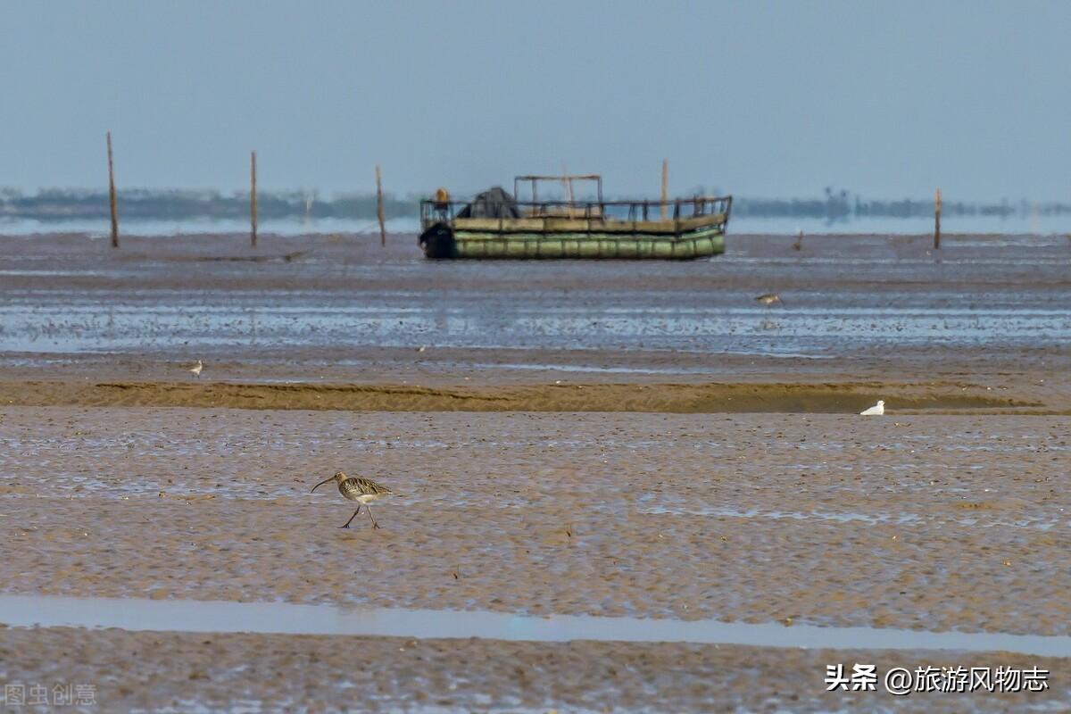 省滨海城市是哪个城市_滨海是哪个省的城市_滨海城市是什么