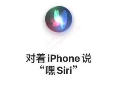 苹果xr叫siri为什么没声音-图5