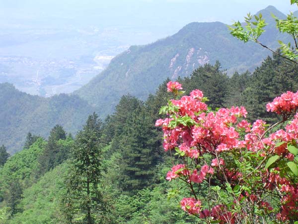 九华山在哪里_九华山旅游攻略_九华山敬香攻略