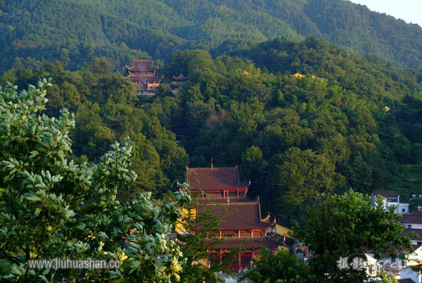 九华山旅游攻略_九华山在哪里_九华山敬香攻略