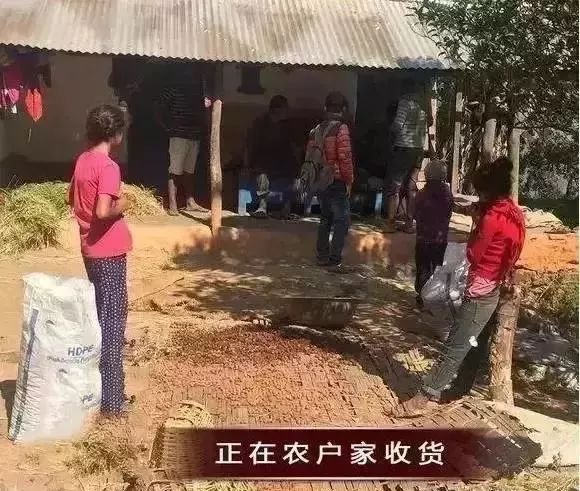 翡翠买原石去哪里买好_翡翠买原石去哪里买_去哪买翡翠原石