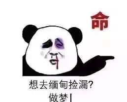 去哪买翡翠原石_翡翠买原石去哪里买_翡翠买原石去哪里买好